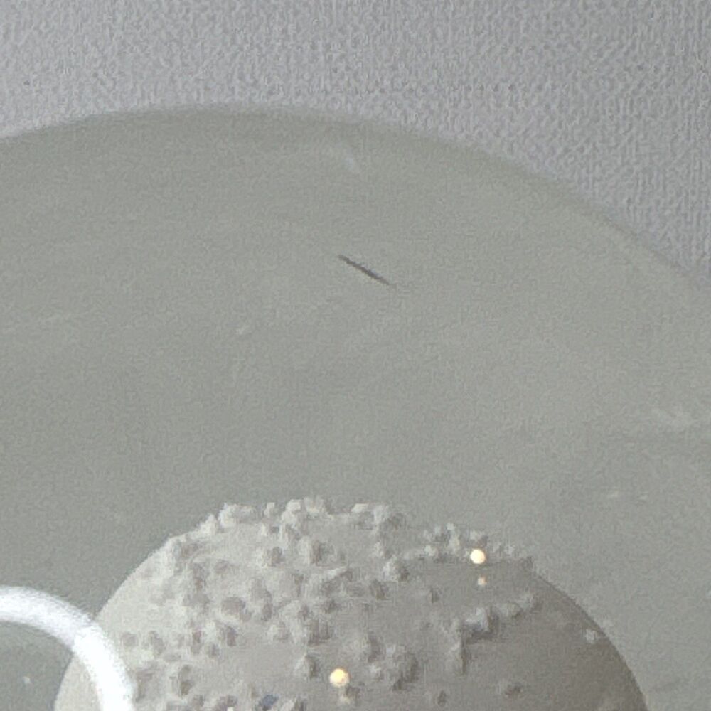 CB2 Skull White Snow Globe Halloween Gothic Skeleton Glitter Snowglobe 409-984 - Picture 11 of 14